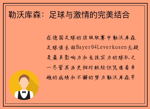 勒沃库森：足球与激情的完美结合